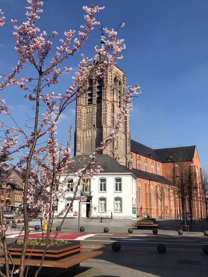 Elvier B&B Mol Eksteriør billede